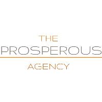 The Prosperous Agency image 1